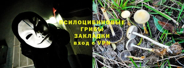 герыч Алексин