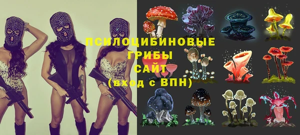 герыч Алексин