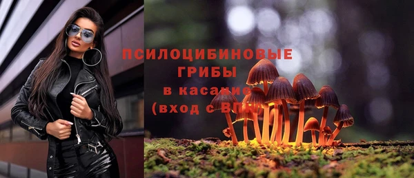 ECSTASY Дмитриев