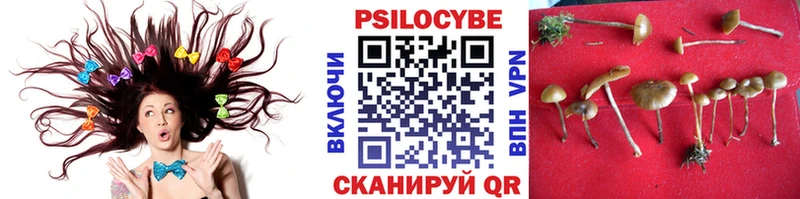 Галлюциногенные грибы Magic Shrooms  закладка  Байкальск 